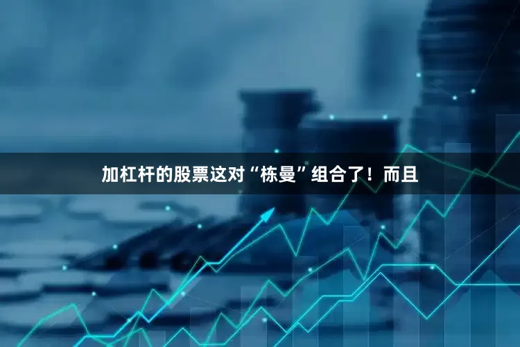 加杠杆的股票这对“栋曼”组合了！而且