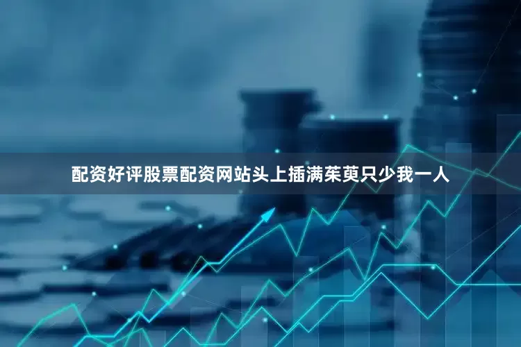 配资好评股票配资网站头上插满茱萸只少我一人