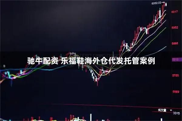 驰牛配资 乐福鞋海外仓代发托管案例