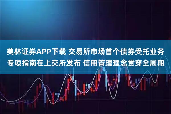 美林证券APP下载 交易所市场首个债券受托业务专项指南在上交所发布 信用管理理念贯穿全周期